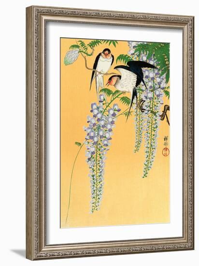 Swallows and Wisteria-Koson Ohara-Framed Giclee Print