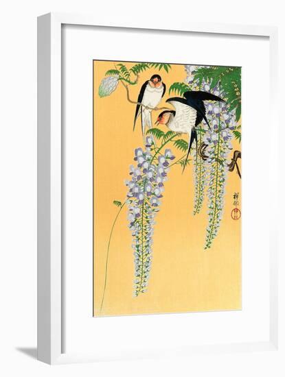 Swallows and Wisteria-Koson Ohara-Framed Giclee Print