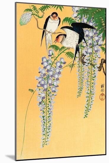 Swallows and Wisteria-Koson Ohara-Mounted Giclee Print