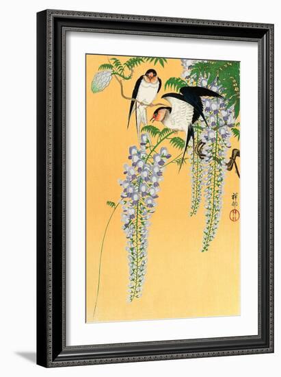 Swallows and Wisteria-Koson Ohara-Framed Giclee Print