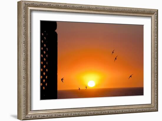 Swallows Flying At Sunset-Laurent Laveder-Framed Photographic Print