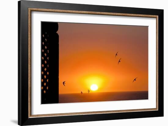 Swallows Flying At Sunset-Laurent Laveder-Framed Photographic Print