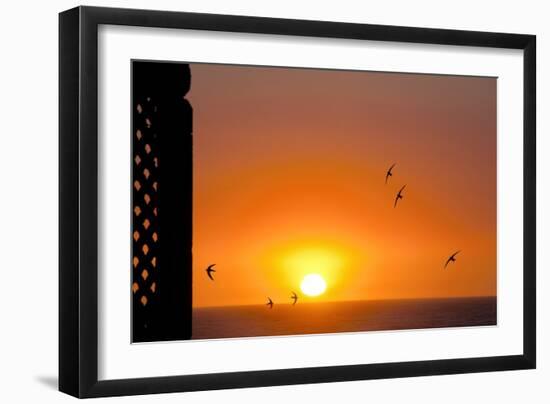 Swallows Flying At Sunset-Laurent Laveder-Framed Photographic Print