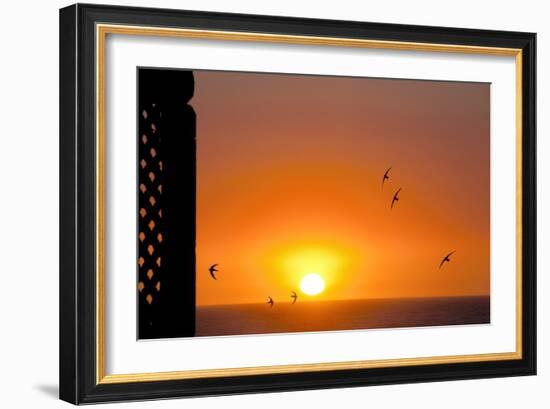 Swallows Flying At Sunset-Laurent Laveder-Framed Photographic Print