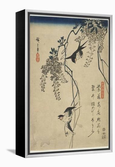 Swallows Flying Through Wisteria Vines, 1837-1844-Utagawa Hiroshige-Framed Premier Image Canvas