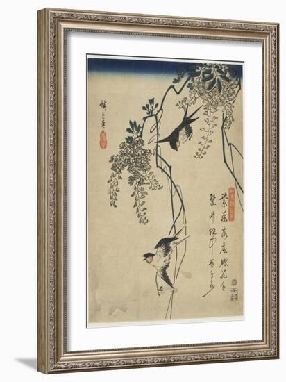 Swallows Flying Through Wisteria Vines, 1837-1844-Utagawa Hiroshige-Framed Giclee Print