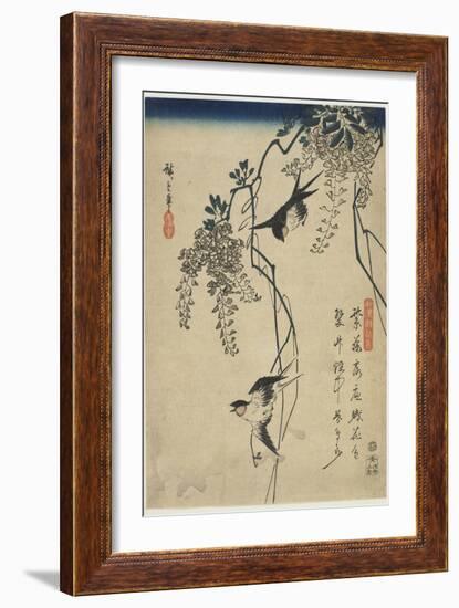 Swallows Flying Through Wisteria Vines, 1837-1844-Utagawa Hiroshige-Framed Giclee Print