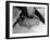 Swallows' Nest-null-Framed Photographic Print