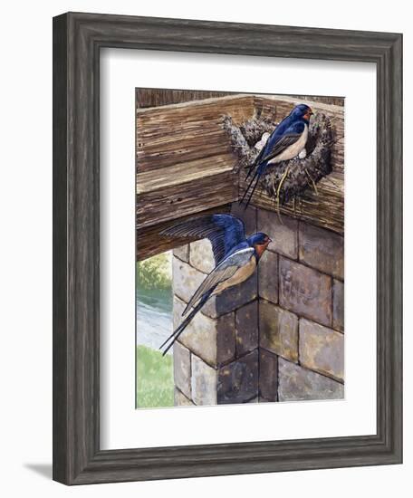 Swallows-English School-Framed Giclee Print