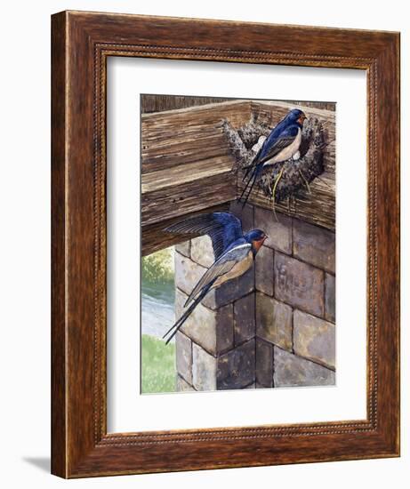 Swallows-English School-Framed Giclee Print