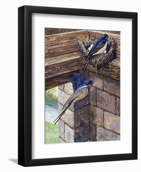 Swallows-English School-Framed Giclee Print