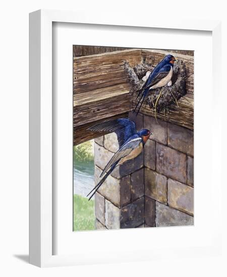 Swallows-English School-Framed Giclee Print