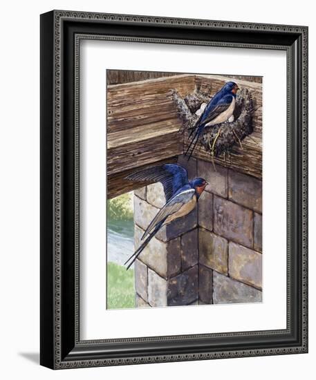 Swallows-English School-Framed Giclee Print