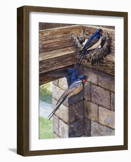 Swallows-English School-Framed Giclee Print