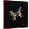 Swallowtail Butterfly, 1999-Amelia Kleiser-Mounted Giclee Print