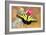 Swallowtail-Douglas Taylor-Framed Photographic Print