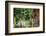 Swamp Cypress With Spanish Moss And Azalea-George Oze-Framed Photographic Print