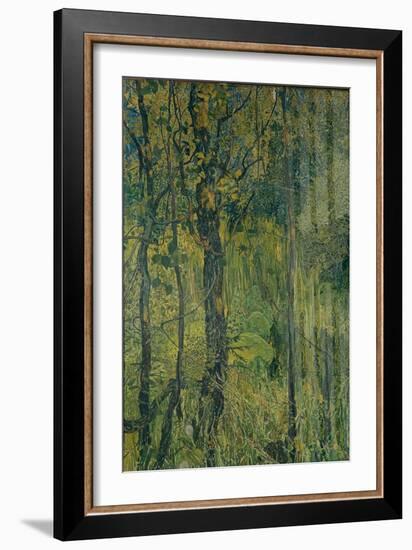 Swamp Forest, 1917-Alexander Yakovlevich Golovin-Framed Giclee Print