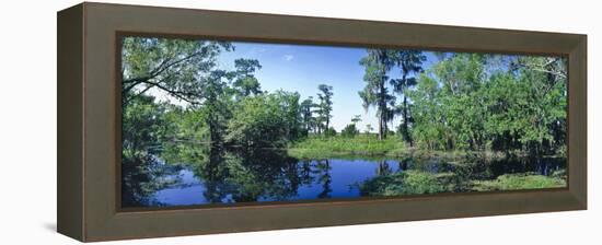 Swamp in forest, Jean Lafitte National Park, New Orleans, Louisiana, USA-Panoramic Images-Framed Premier Image Canvas