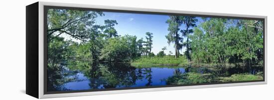 Swamp in forest, Jean Lafitte National Park, New Orleans, Louisiana, USA-Panoramic Images-Framed Premier Image Canvas