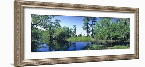 Swamp in forest, Jean Lafitte National Park, New Orleans, Louisiana, USA-Panoramic Images-Framed Photographic Print