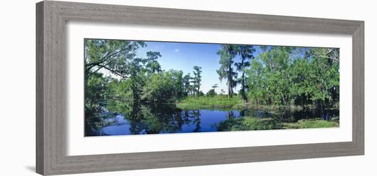 Swamp in forest, Jean Lafitte National Park, New Orleans, Louisiana, USA-Panoramic Images-Framed Photographic Print