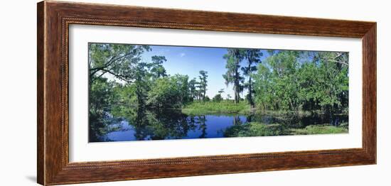 Swamp in forest, Jean Lafitte National Park, New Orleans, Louisiana, USA-Panoramic Images-Framed Photographic Print