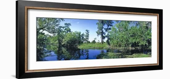 Swamp in forest, Jean Lafitte National Park, New Orleans, Louisiana, USA-Panoramic Images-Framed Photographic Print