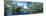 Swamp in forest, Jean Lafitte National Park, New Orleans, Louisiana, USA-Panoramic Images-Mounted Photographic Print