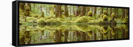 Swamp-David Nunuk-Framed Premier Image Canvas