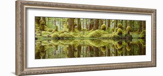 Swamp-David Nunuk-Framed Photographic Print