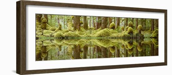 Swamp-David Nunuk-Framed Photographic Print