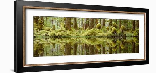 Swamp-David Nunuk-Framed Photographic Print