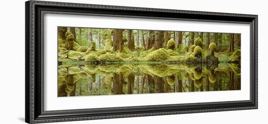 Swamp-David Nunuk-Framed Photographic Print