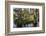 Swampy are in the Magnolia Plantation Outside Charleston, South Carolina, United States of America-Michael Runkel-Framed Photographic Print