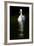 Swan 1-Charles Bowman-Framed Photographic Print