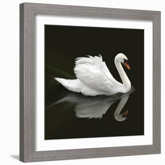 Swan 1-Ben Heine-Framed Photographic Print