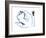 Swan, 2021, (mixed media on paper)-Mark Adlington-Framed Giclee Print