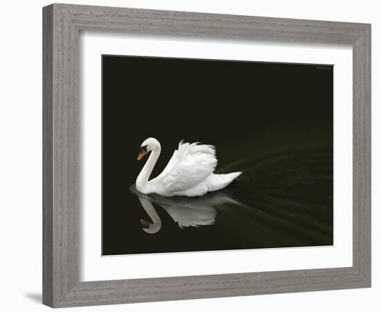 Swan 2-Ben Heine-Framed Photographic Print