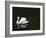 Swan 2-Ben Heine-Framed Photographic Print