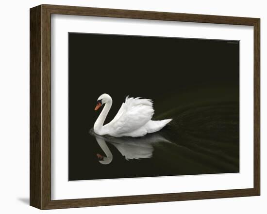 Swan 2-Ben Heine-Framed Photographic Print