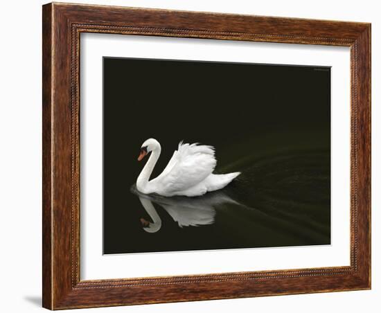 Swan 2-Ben Heine-Framed Photographic Print