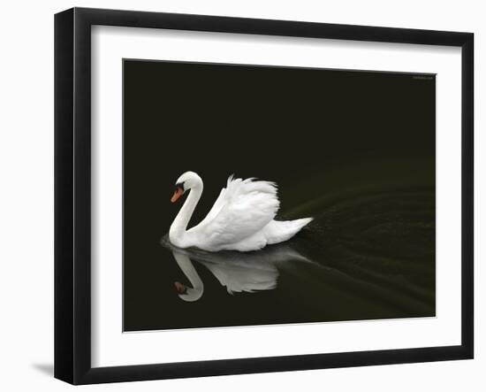 Swan 2-Ben Heine-Framed Photographic Print