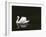 Swan 2-Ben Heine-Framed Photographic Print