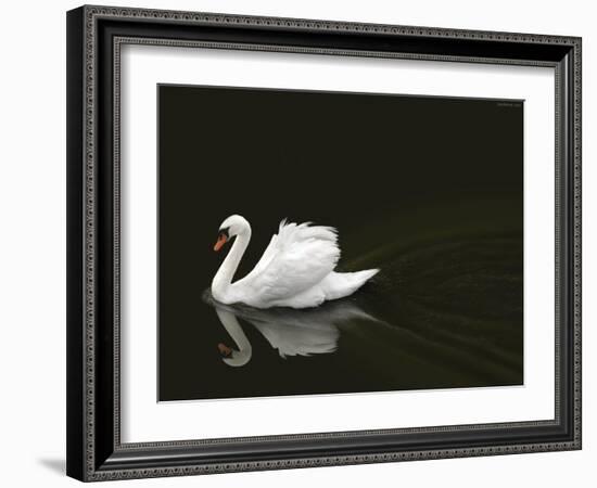 Swan 2-Ben Heine-Framed Photographic Print