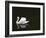 Swan 2-Ben Heine-Framed Photographic Print