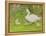 Swan and Cygnets-Linda Benton-Framed Premier Image Canvas