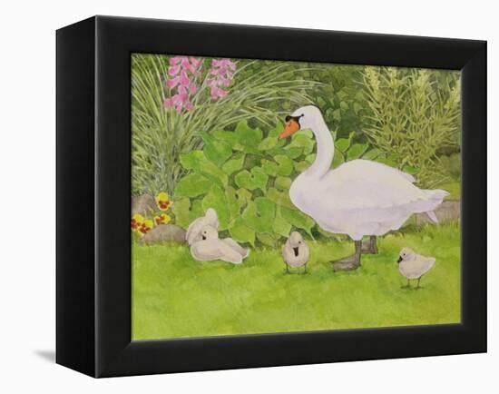 Swan and Cygnets-Linda Benton-Framed Premier Image Canvas