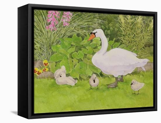 Swan and Cygnets-Linda Benton-Framed Premier Image Canvas