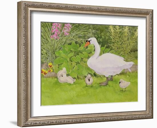 Swan and Cygnets-Linda Benton-Framed Giclee Print